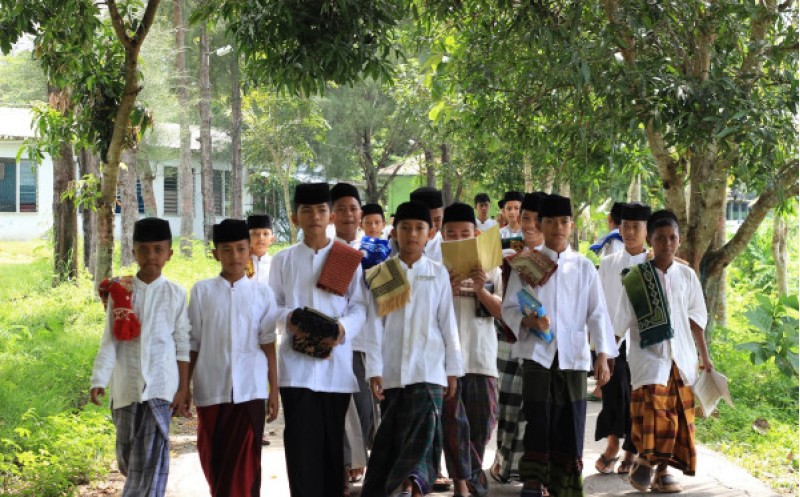 Nur Ul Ilmi Ciherang